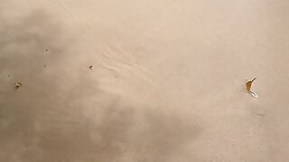 Big dick relax at beach