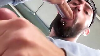 Bearded hunk sucks cock