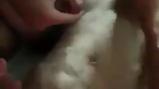 5 guys jerk off together and finish on twink stud. I don't claim ownership, video found on the web.