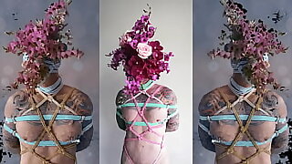 Shibari DaMotta&period; Complete in RED