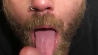 Hairy bear wants some protein