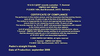 Pedro's Straight Friends (2008)