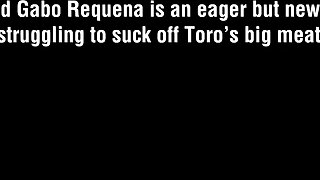 Gabo Requena & Toro Bravo