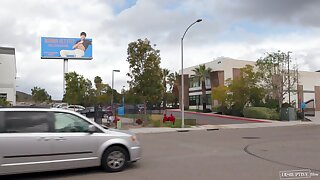 The Animator (Elliot Finn, Michael Del Ray)