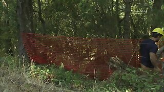 Scott, Arthur & Coby Blow Their Loads