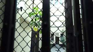Elevator (Daniel De La Rosa, Guillaume Wayne)