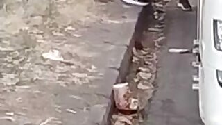 Dudes caught cruising on the street